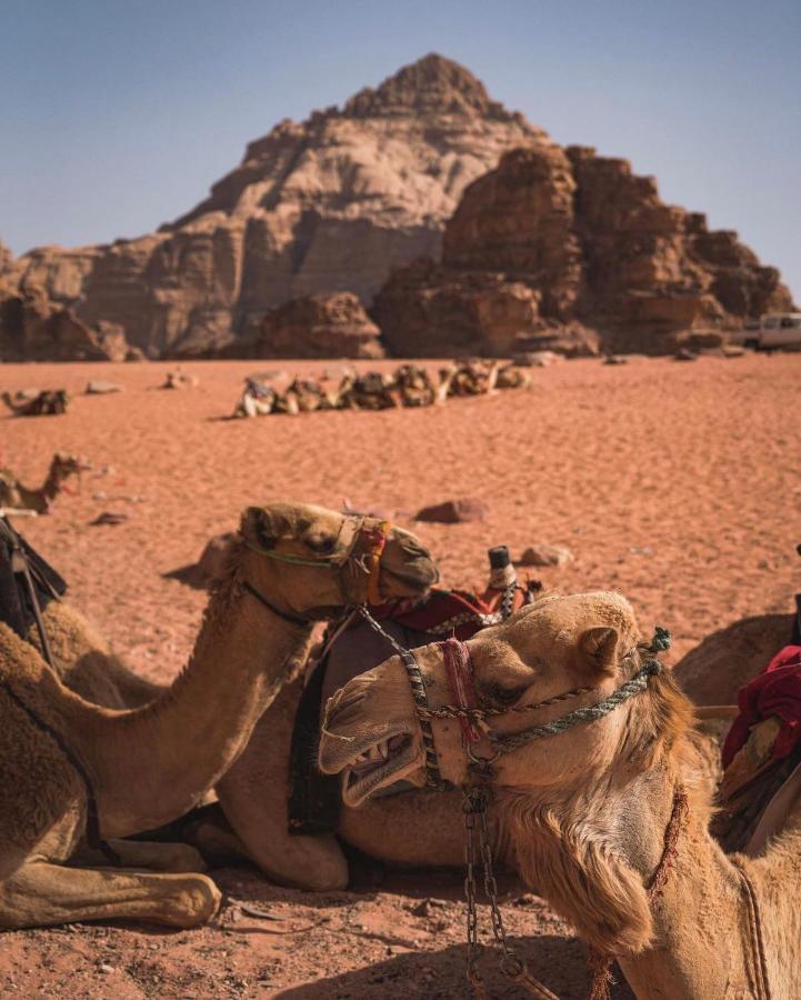 Sun Luxury Camp &Tour Apartment Wadi Rum Luaran gambar